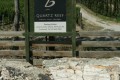 Quartz Reef Vineyard - Bendigo - Central Otago