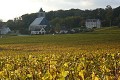 Champagne Thierry Triolet