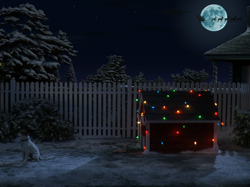 Christmas Card 2013