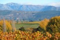 Neudorf vineyards looking over the Beuke Black 5  www.neudorf.co.nz