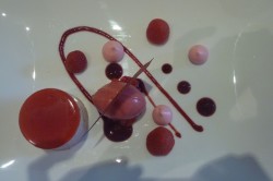 Gidleigh Park - Raspberry dessert