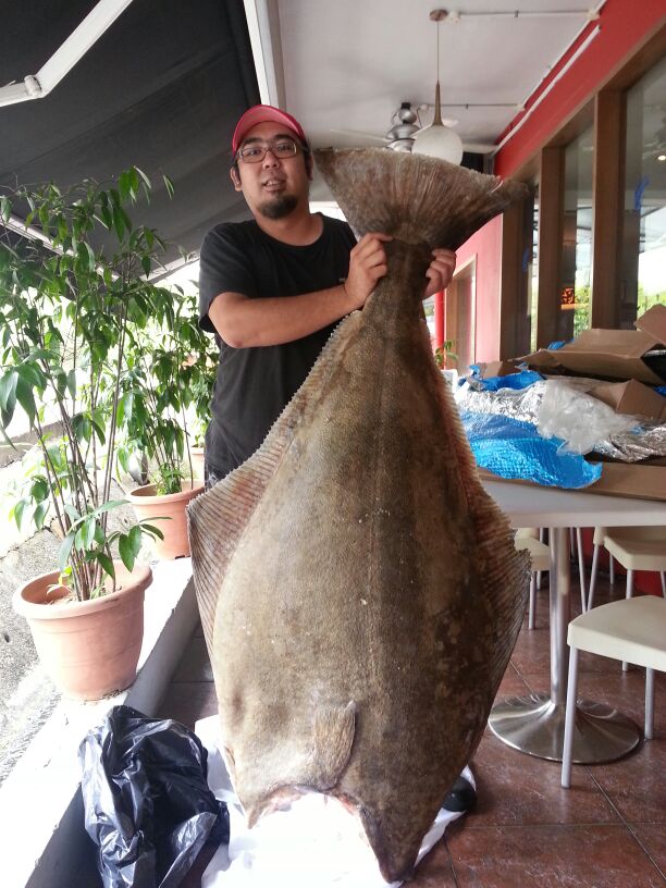 Now that's what you call a fish, Chef Alan at Greenwood Fish Market sizing up the recent catch