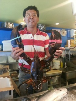 Now that's what you call a lobster!