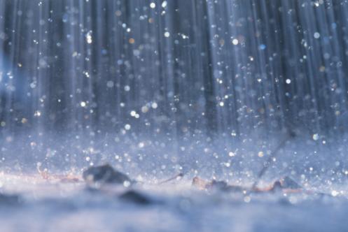 Heavy Rain