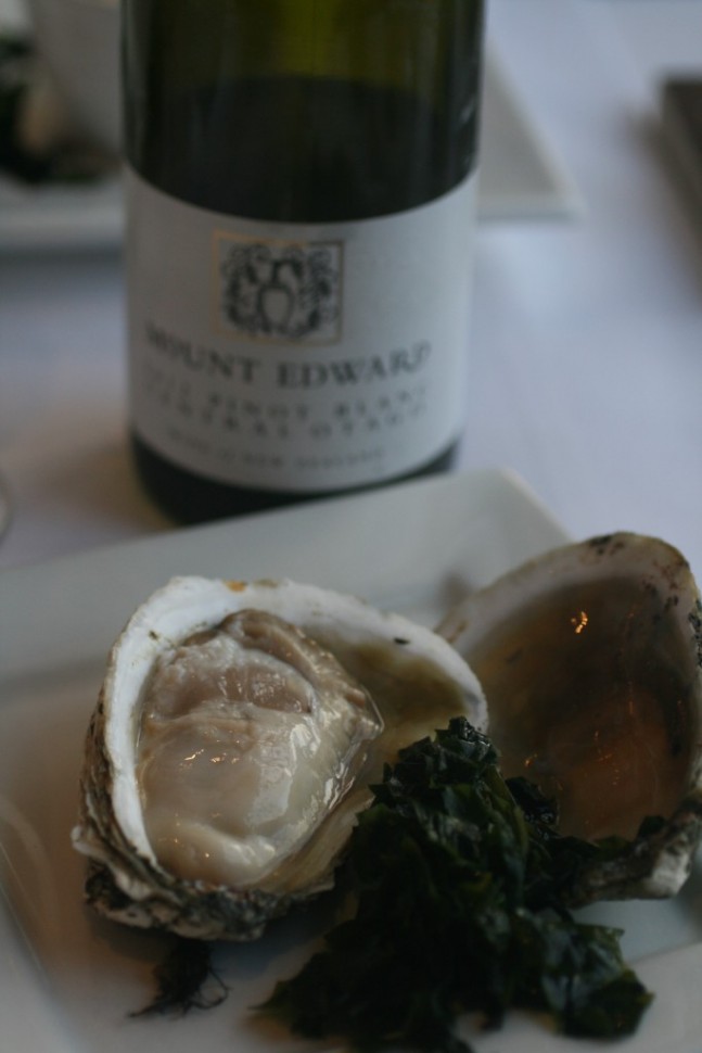 Stewart Island Oysters and Mount Edward Pinot Blanc - Divine