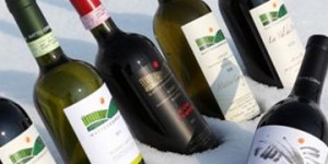 www.matteocorreggia.com