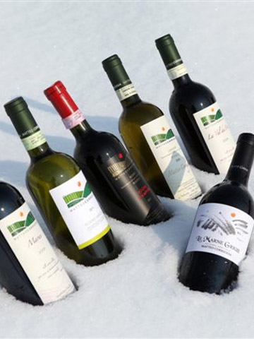 Matteo Correggia wine