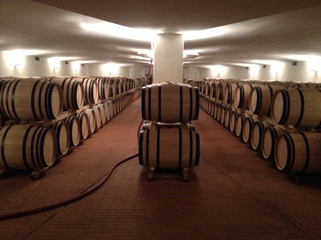 Mike K - Fontodi  barrel room