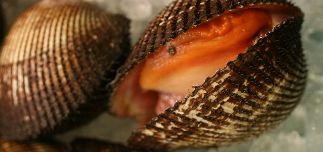 Nishiki Market – Kyoto, Japan
