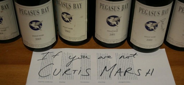 Pegasus Pinot Noir vertical - closeup
