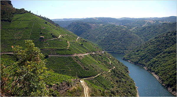 Ribera Sacra - Picture by Eutropio Rodriguez