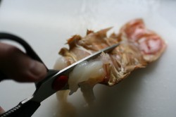 Slipper Lobster - chop in half with Poultry Scissors