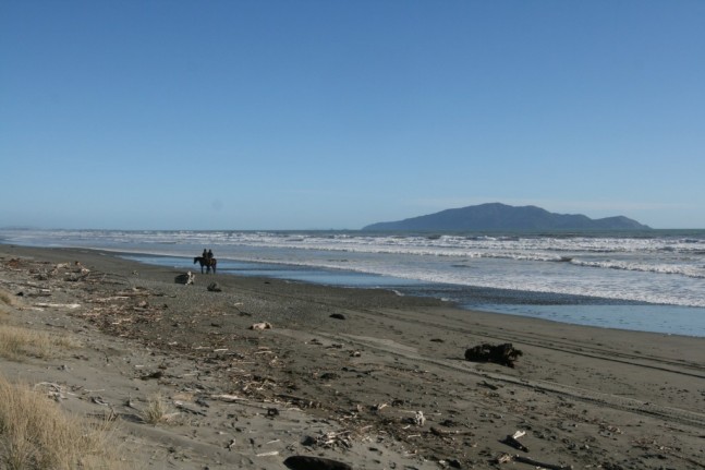Te Horo Beach looking out to Kapiti Island - my kind of beach, driftwood central 