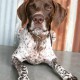 Hank from Herman Story Winery, Paso Robles, CA
