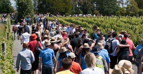 People visiting Ata Rangi vineyard, New Zealand