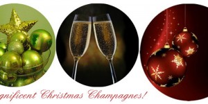 Magnificent Champagnes for Christmas
