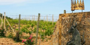 Conti Costanti vineyard, Tuscany