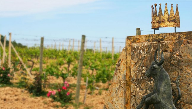 Conti Costanti vineyard, Tuscany