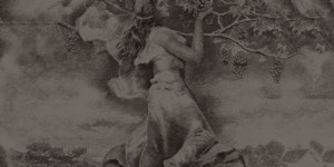 Harlan Estate wine label