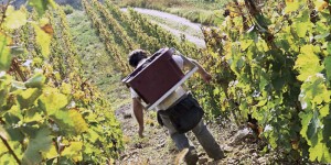 Hermitage in the Northern Rhone Valley slopes