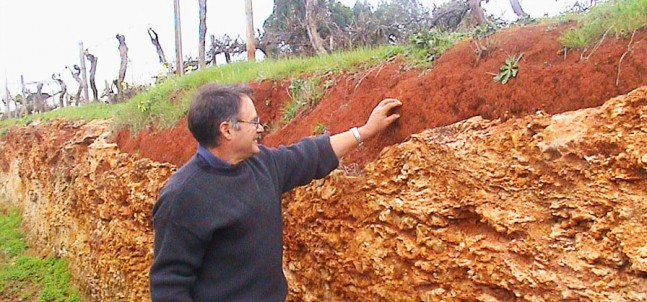 Highbank Vineyard Terra Rossa soil, Australia