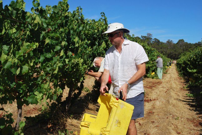 Jeremy Muller of Peccavi Wines