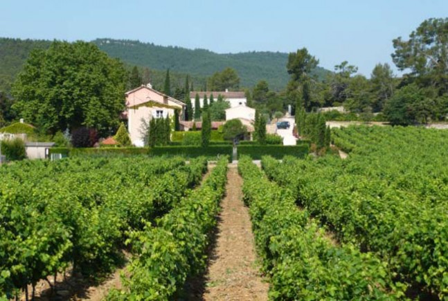 Le Grand Cros vineyard view from east