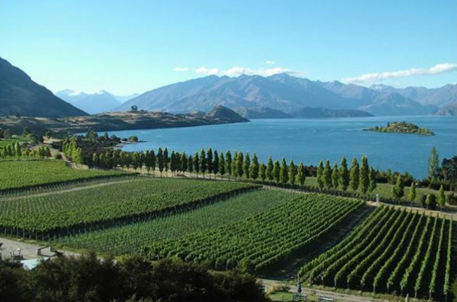 The Otago Region of New Zealand