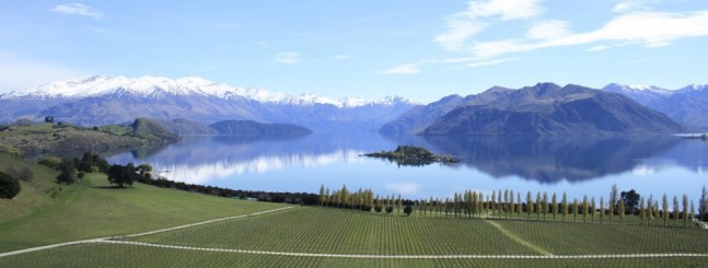 Rippon vineyard, Lake Wanaka, Central Otago