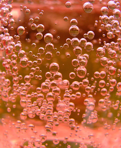Rose Champagne bubbles