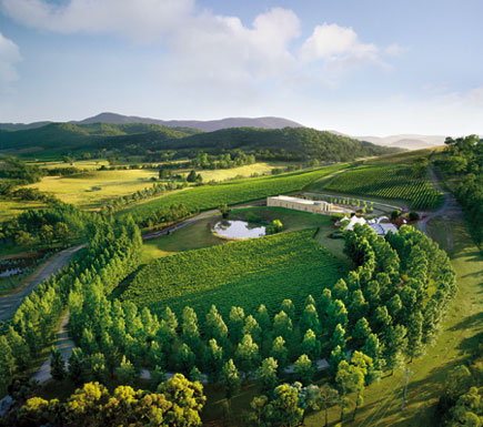 Tarrawarra Vineyard, Australia