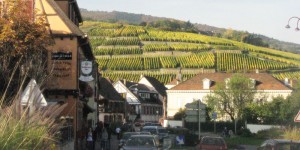 Trimbach Vineyard Alsace, France
