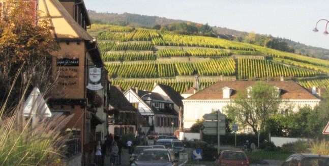 Trimbach Vineyard Alsace, France