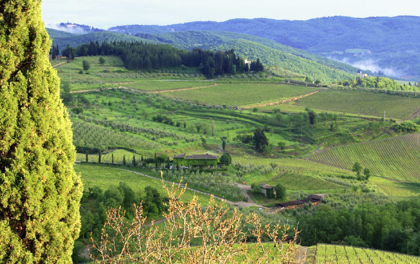 Chianti Vineyard, Italy