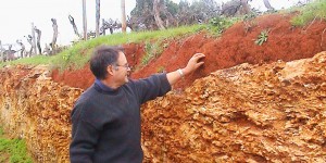 Highbank Vineyard Terra Rossa soil, Australia