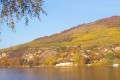 Pfaffenberg vineyard, Austria