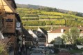 Trimbach Vineyard Alsace, France